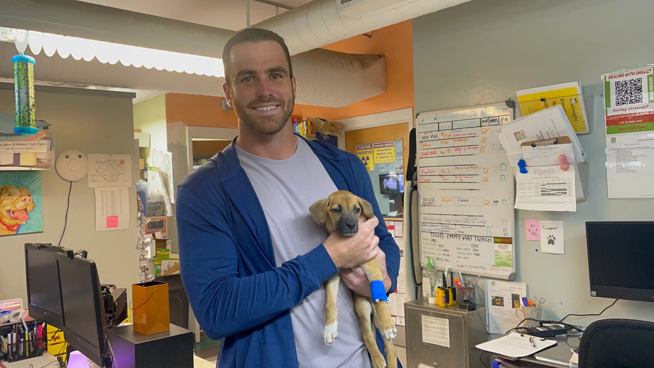 Miami Dolphins participant chooses Austin Pets Alive! for charity marketing campaign