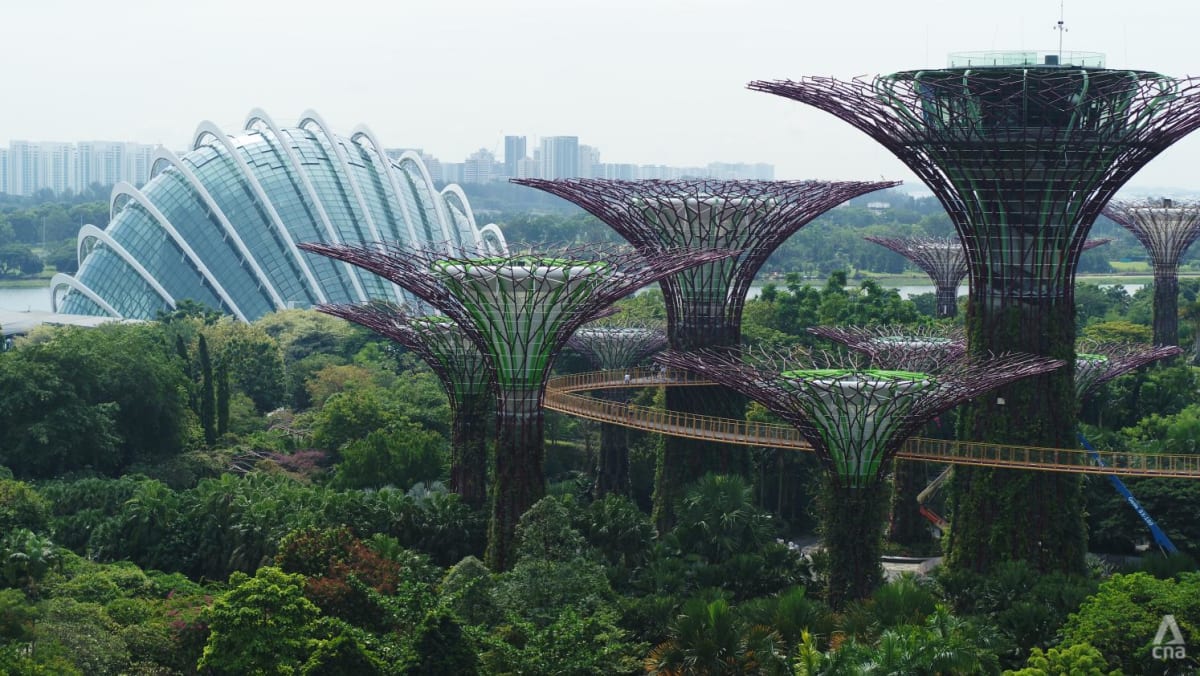 Gardens by the Bay celebrates 10 years, explores plans to construct bridge connecting Bay South and Bay East