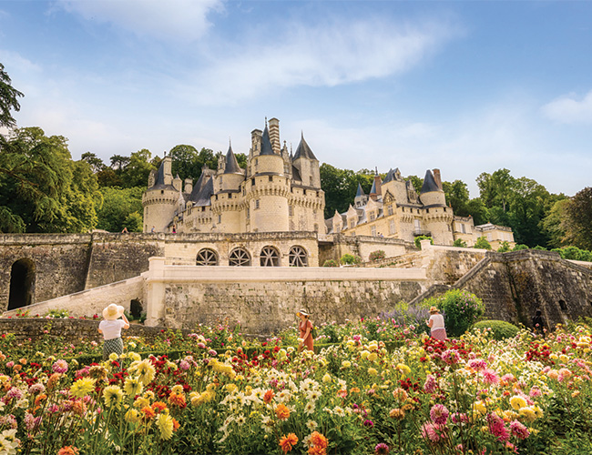 Finest Château Gardens within the Loire Valley