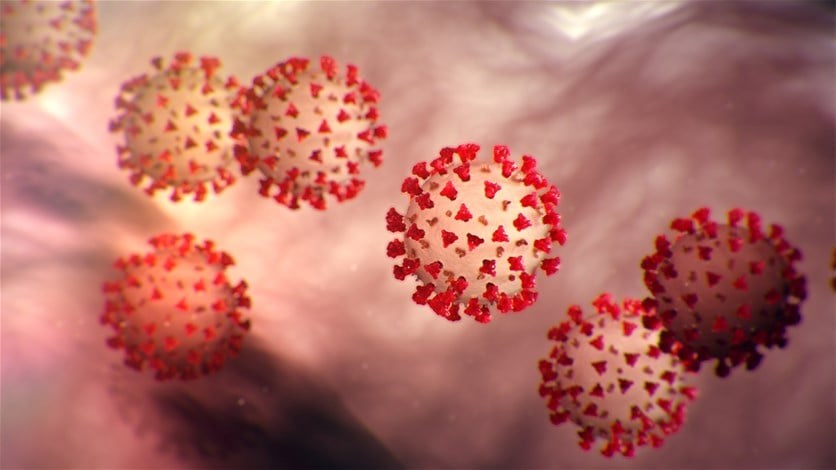 Lebanon registers 67 new Coronavirus instances, one new demise – LBCI Lebanon