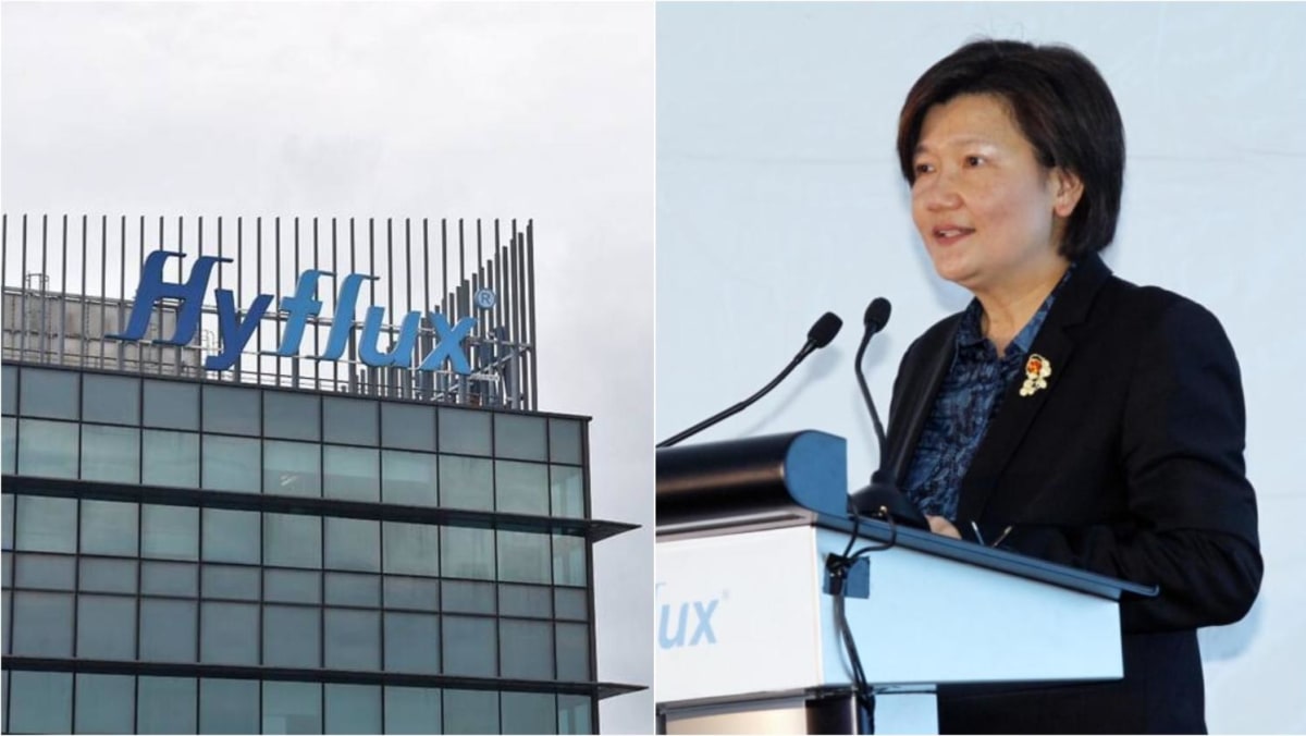 Former Hyflux CEO Olivia Lum, ex-CFO and administrators charged over failure to reveal details about Tuaspring