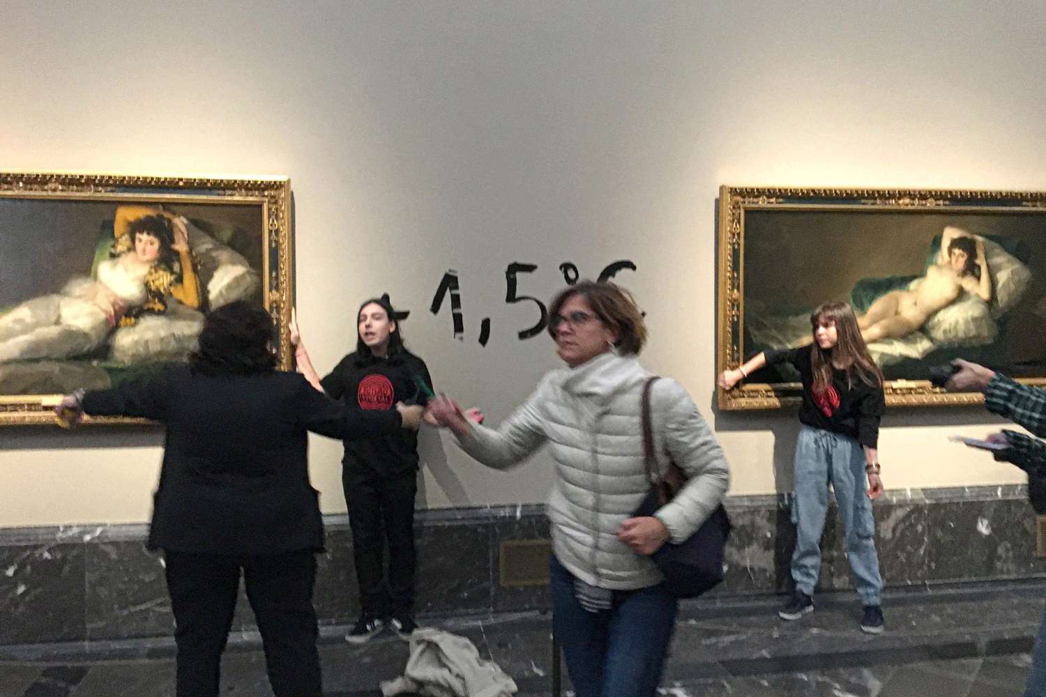 Local weather Activists Glue Their Palms to Francisco de Goya’s Work