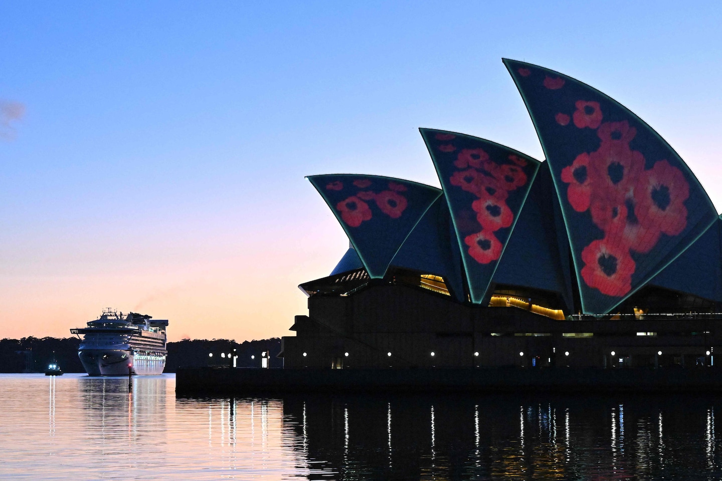 Majestic Princess cruise docks in Sydney with 800 covid circumstances