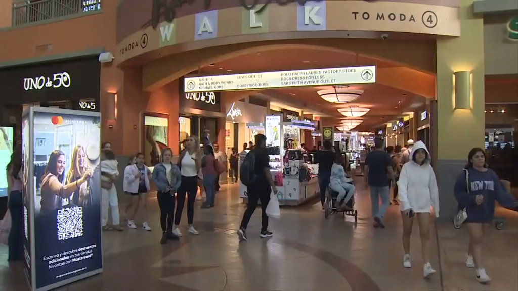 South Floridians put together for Black Friday procuring; specialists mission busier procuring season than final 12 months – WSVN 7News | Miami Information, Climate, Sports activities