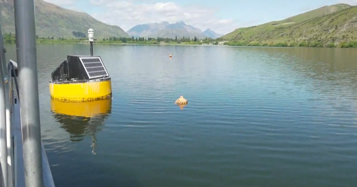 Excessive tech buoys serving to defend NZ’s freshwater lakes