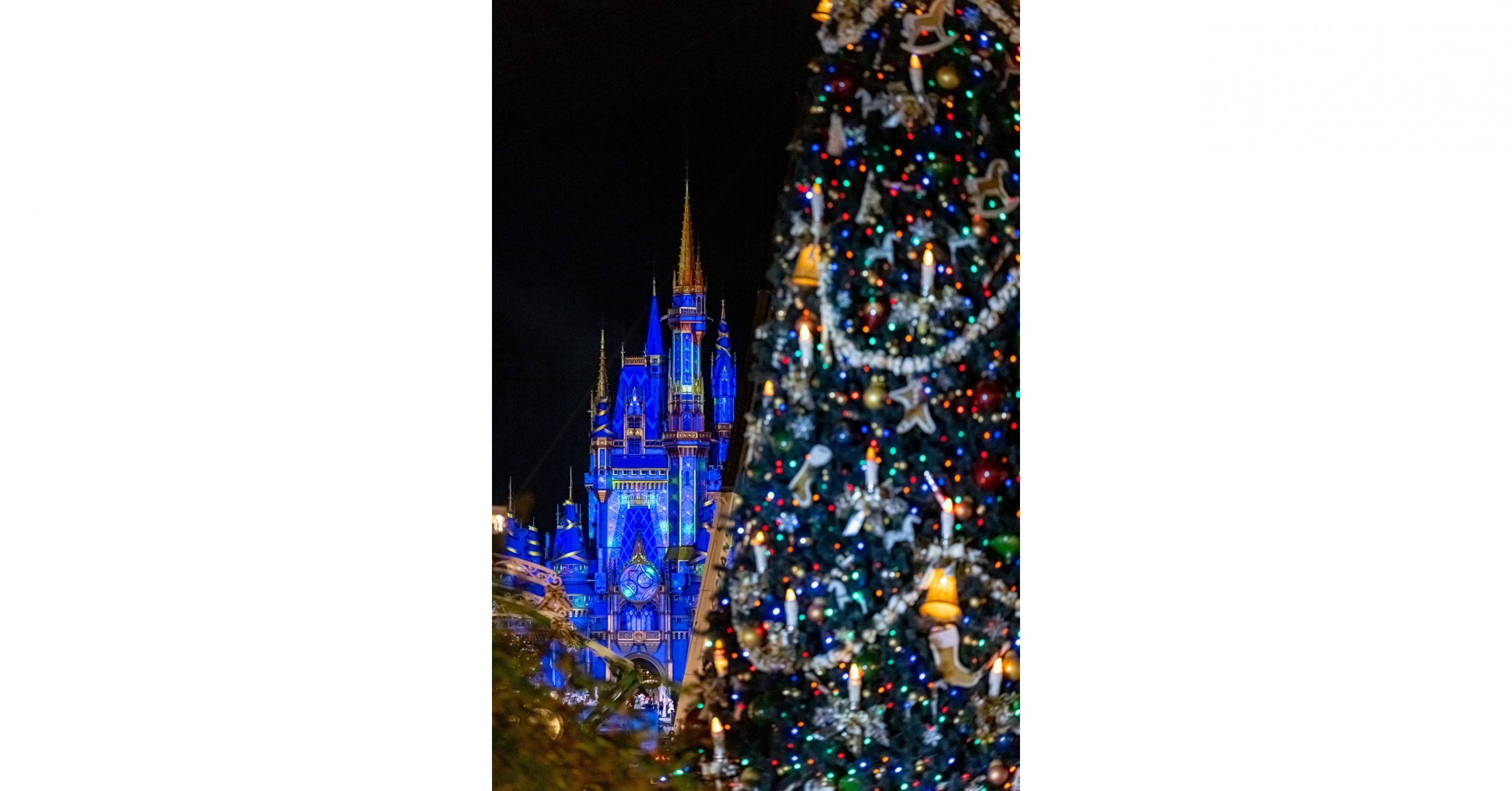 Holidays Have Formally Begun at Walt Disney World Resort