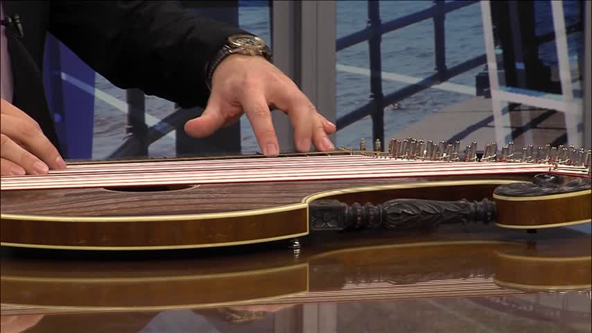 Schuetzen Park presents zither vacation music