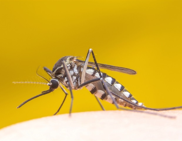 New tech answer to identify disease-transmitting mosquitoes