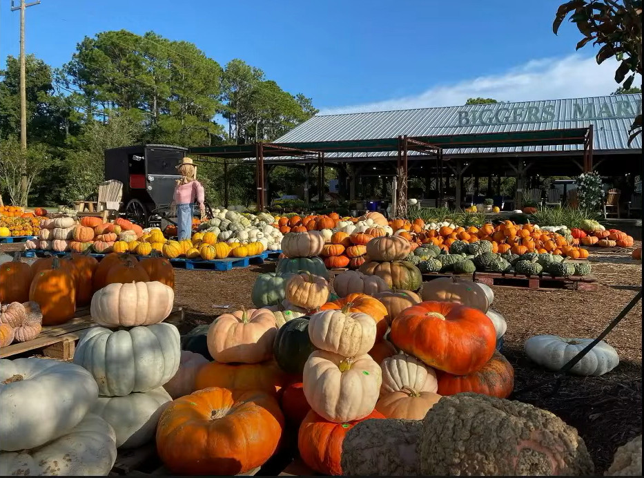 Music on the market? BOA overturns metropolis violation relating to leisure at produce stand