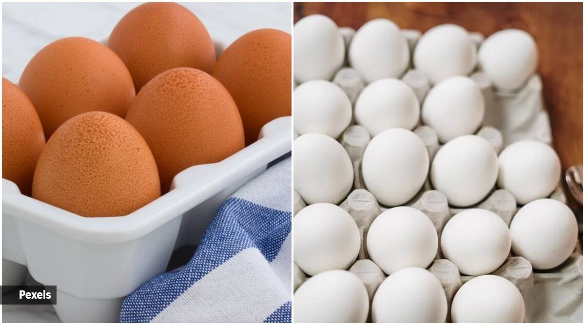 Brown or white egg: Which is more healthy?