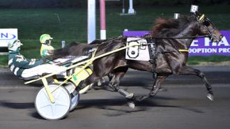 Meadowlands: Superstar Bambino scores in Valley Victory elim – Day by day Racing Kind