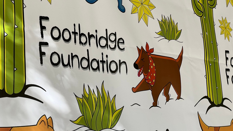 Native nonprofit, Footbridge Basis, raises funds for weak pets – WOAI