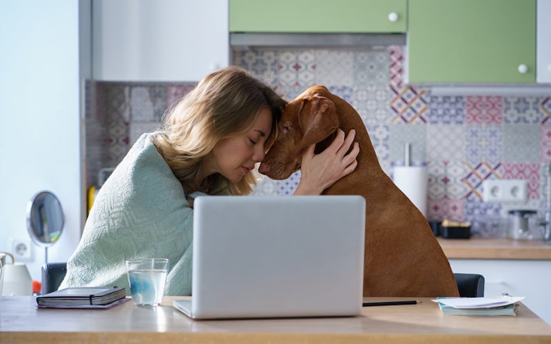 Right here’s the seemingly motive why you like your pet so deeply