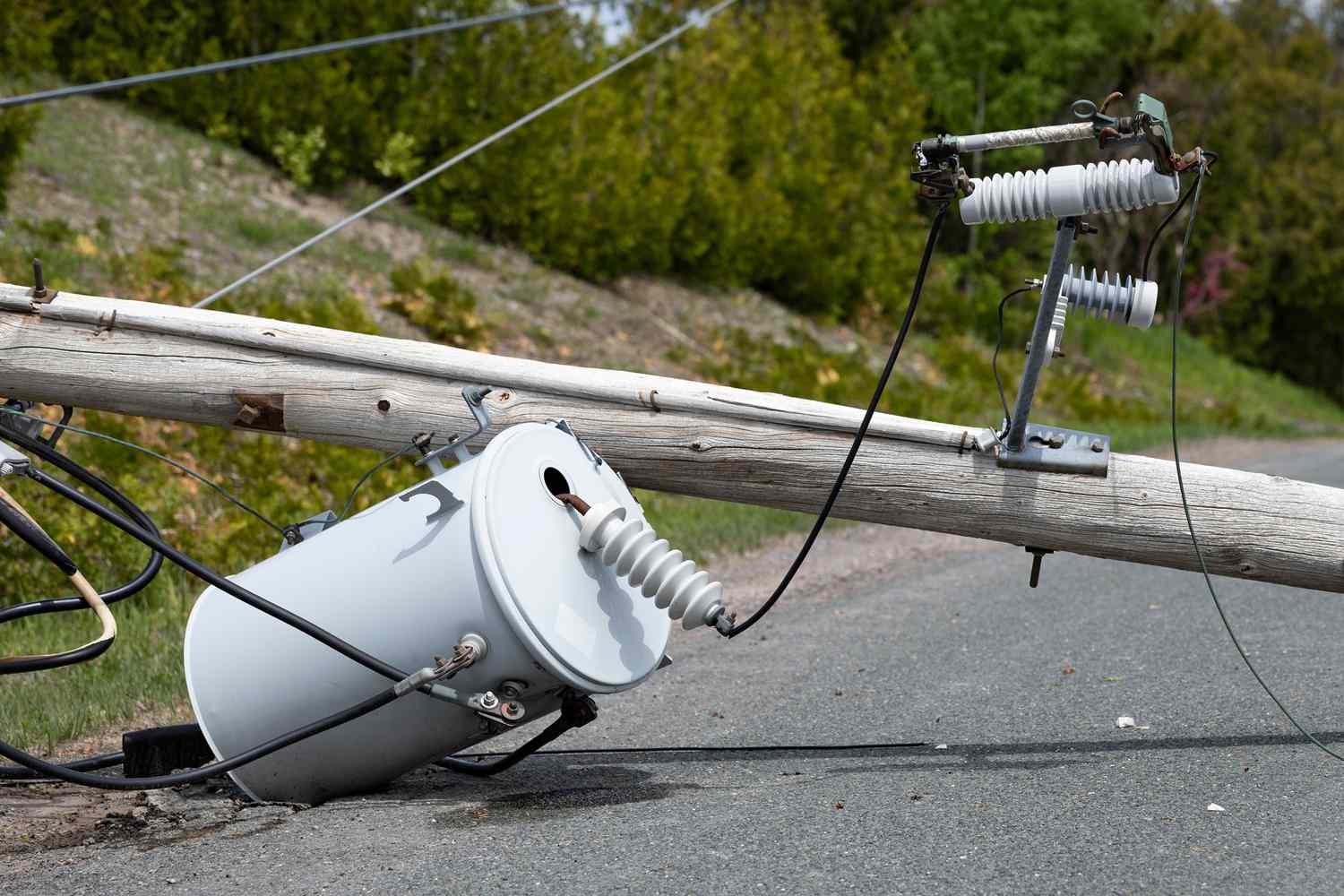 2 Useless After Being Electrocuted amid Tropical Storm Nicole