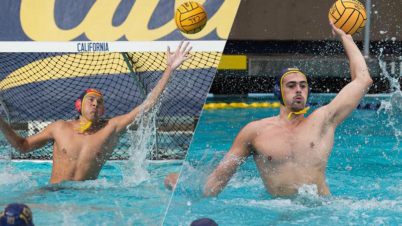 No. 1 Bears Sweep MPSF Weekly Awards