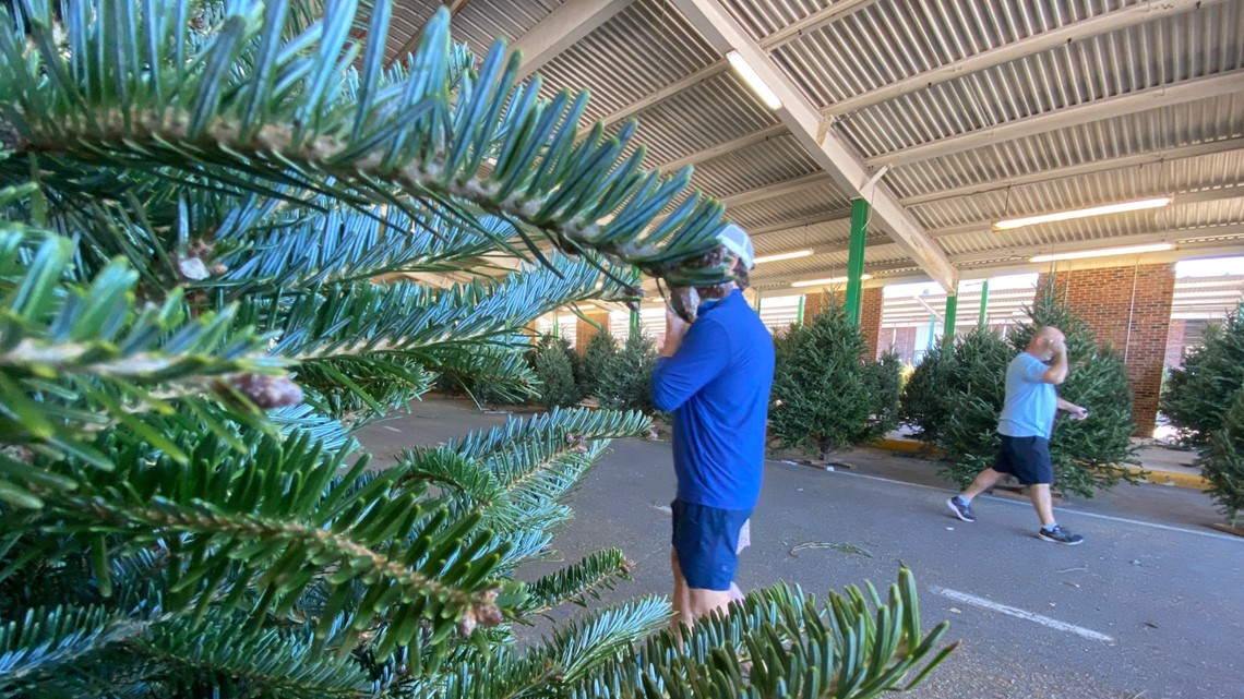 tree buying on the Macon farmers market