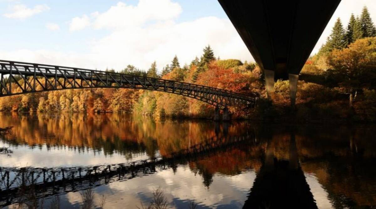 In photos: Vivid and breathtaking fall foliage internationally – The Indian Categorical