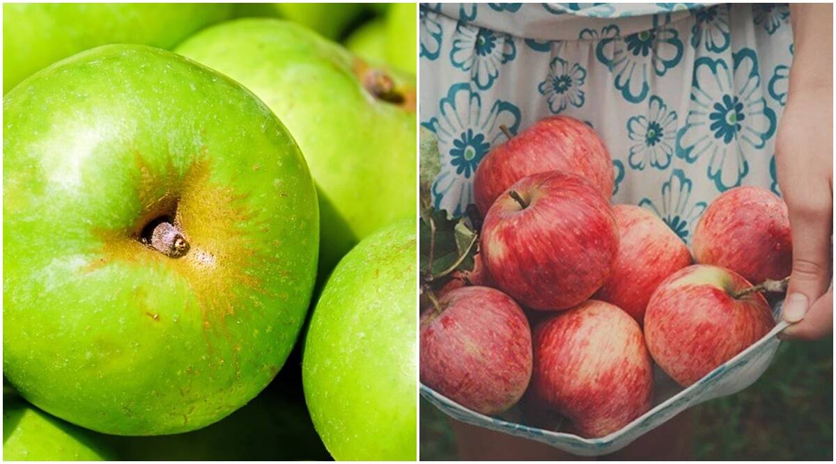 Inexperienced vs purple apple: Which is more healthy?