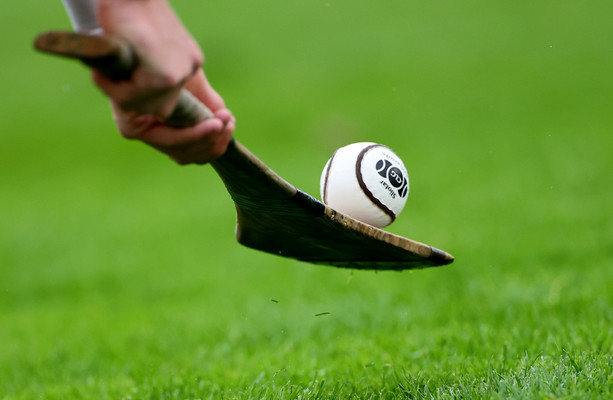 Gamers enchantment bans arising from Leinster membership hurling brawl · The42