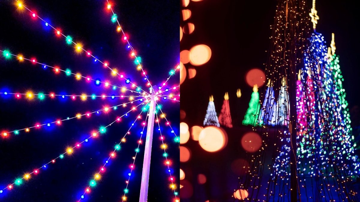 ‘Hikari — A Competition of Lights’ at Tanaka Farms – NBC Los Angeles