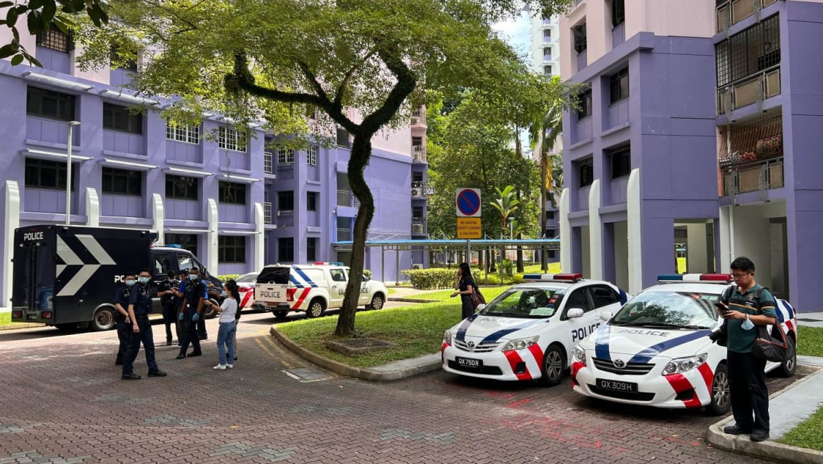 Girl accused of murdering her father in Sengkang flat remanded for psychiatric statement