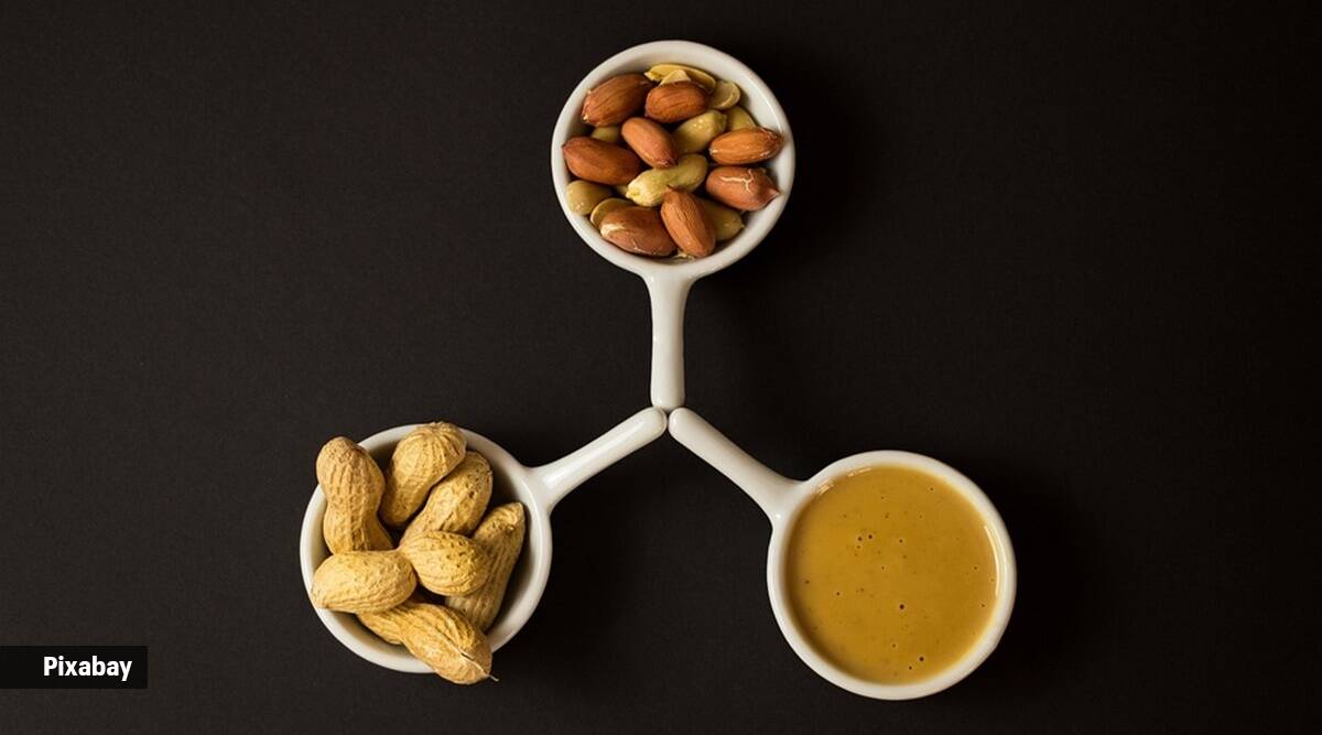 Peanut butter vs boiled groundnuts: Which is healthier in your well being?