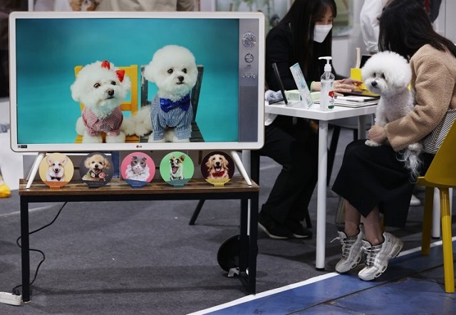 Sejong Expands Medical Therapy Subsidies for Pets and Pet-sitting