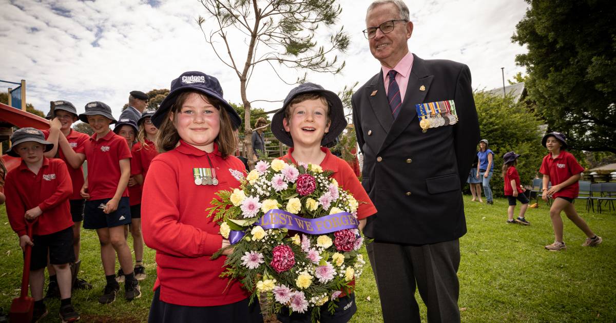 A Lone Pine tree has been donated to Cudgee Main College | The Normal