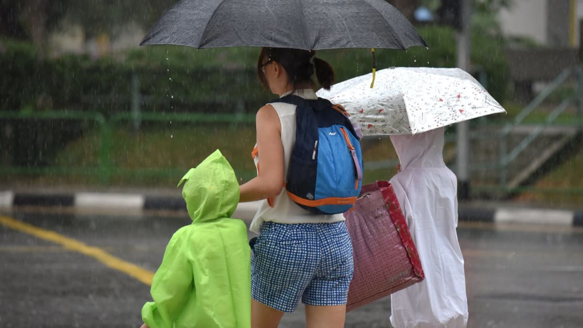 Much less moist climate anticipated in second half of November: Met Service