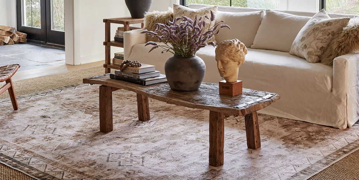 10 Finest Pet-Pleasant Rugs for Residence House owners