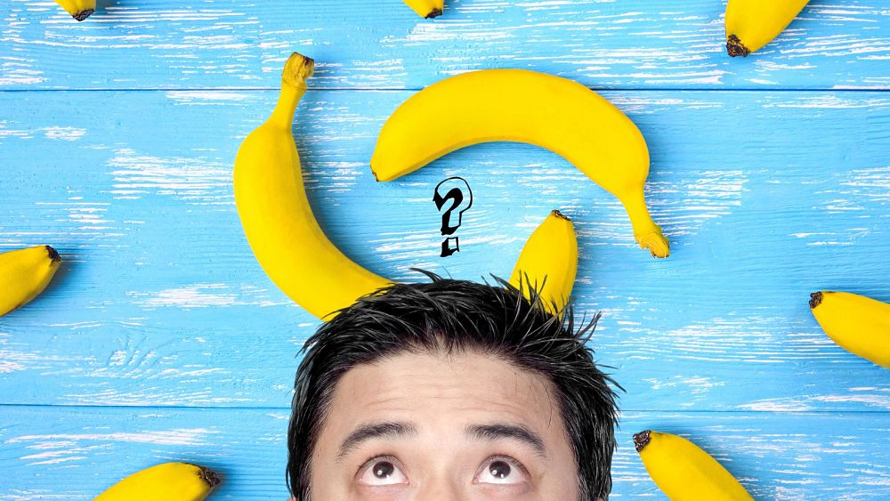 Our high well being tales this 12 months: Declining sperm, cryopreserved our bodies and cancer-fighting bananas