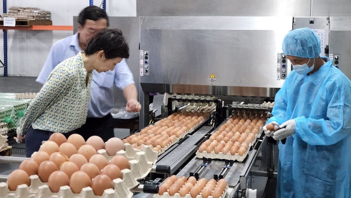 Singapore to start importing hen eggs from Brunei, additional diversifying its meals sources