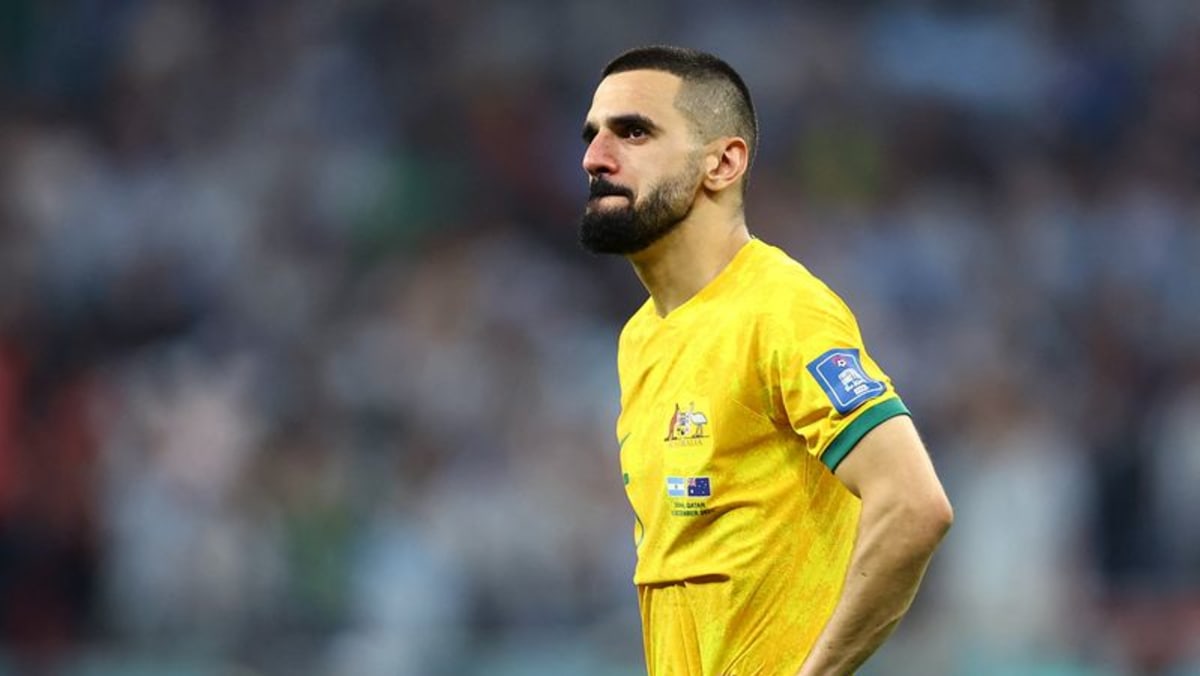 Socceroos create good platform for development of Australian recreation – Behich