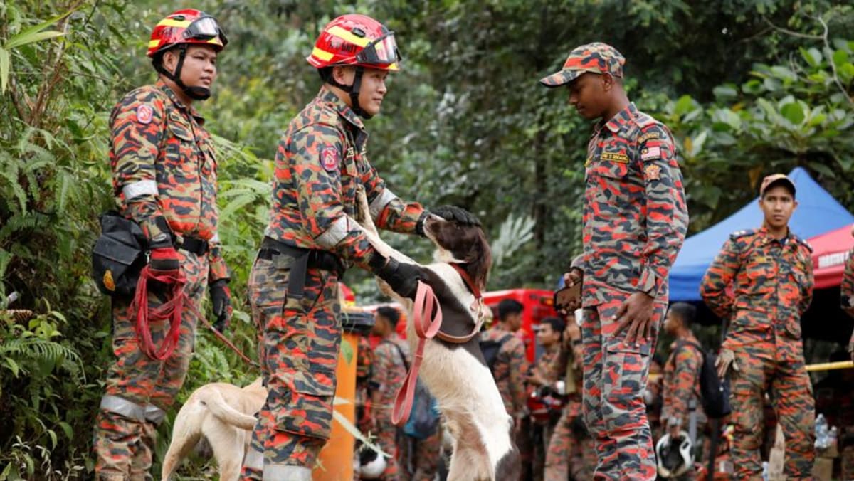 Search continues for 9 campers caught in Malaysia landslide