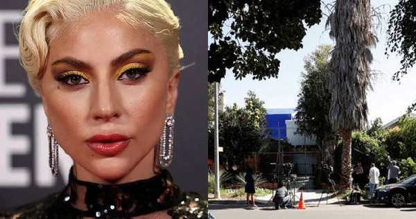 Girl Gaga’s dognapper sentenced to 21 years in jail, Leisure Information