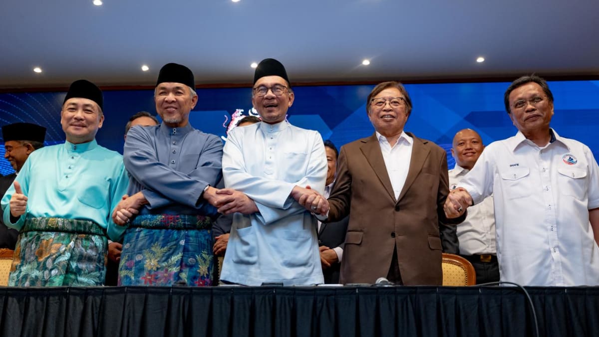 Malaysia political coalitions signal settlement backing PM Anwar’s unity authorities