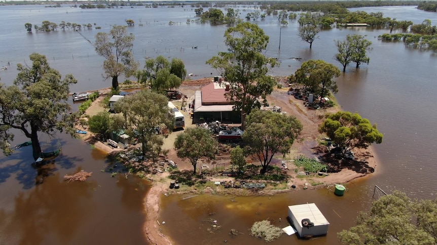 River Murray floodwaters flip Moorook house into an island, with hundreds of South Australian properties now inundated