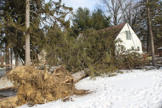 Uprooted tree crashes by means of roof of Frenchtown Township house