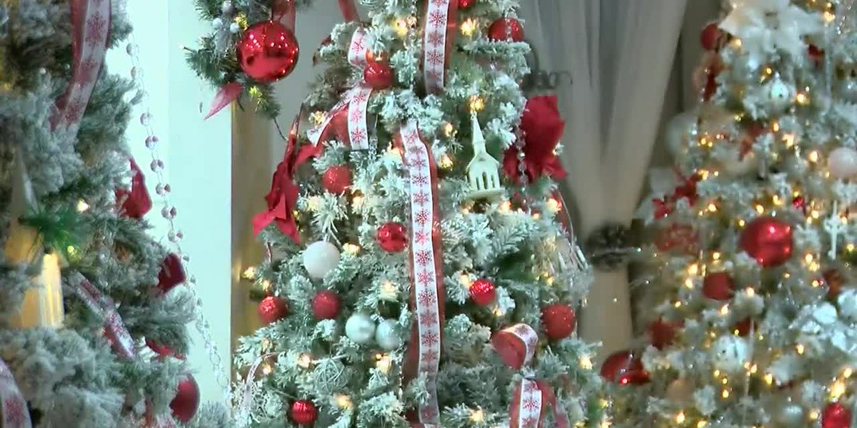 Moss Bluff lady decks out house with assortment of over 45 Christmas timber