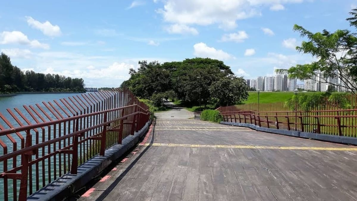 Space alongside Punggol Promenade Nature Stroll cordoned off after bicycle owner injured in wild boar incident