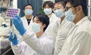 New examine in virology at Wuhan College reveals MERS-related coronavirus receptor in bats for first time