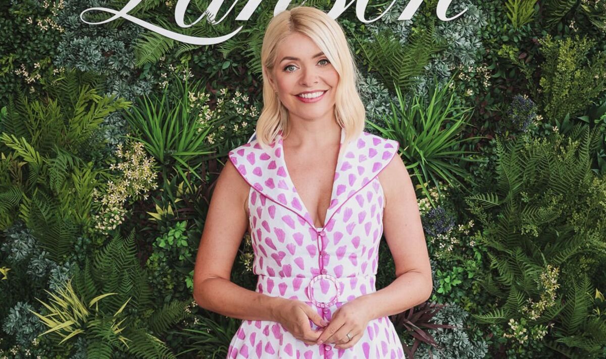 Holly Willoughby model: ‘I am her stylist and that is how I make her look superb’