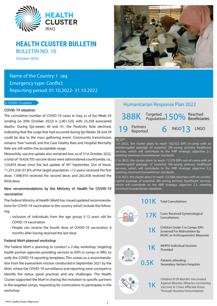 Iraq: Well being Cluster Bulletin No. 10 (October 2022) – Iraq