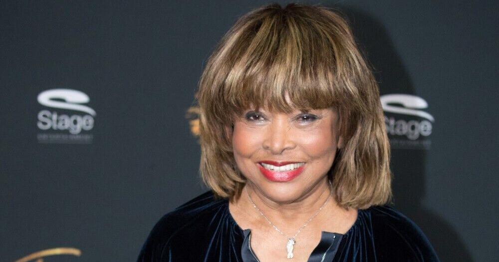 Tina Turner's son Ronnie died following most cancers battle – Denton File Chronicle