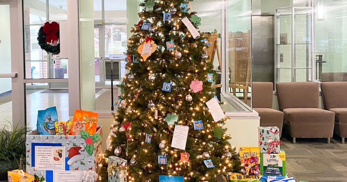 Conyers-Rockdale Library collects presents for homeless pets – Rockdale Newton Citizen