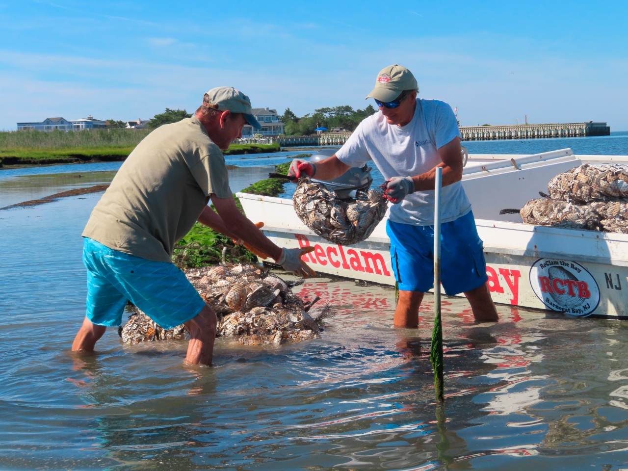 Louisiana Division of Well being remembers oysters harvested in southeastern Galveston Bay