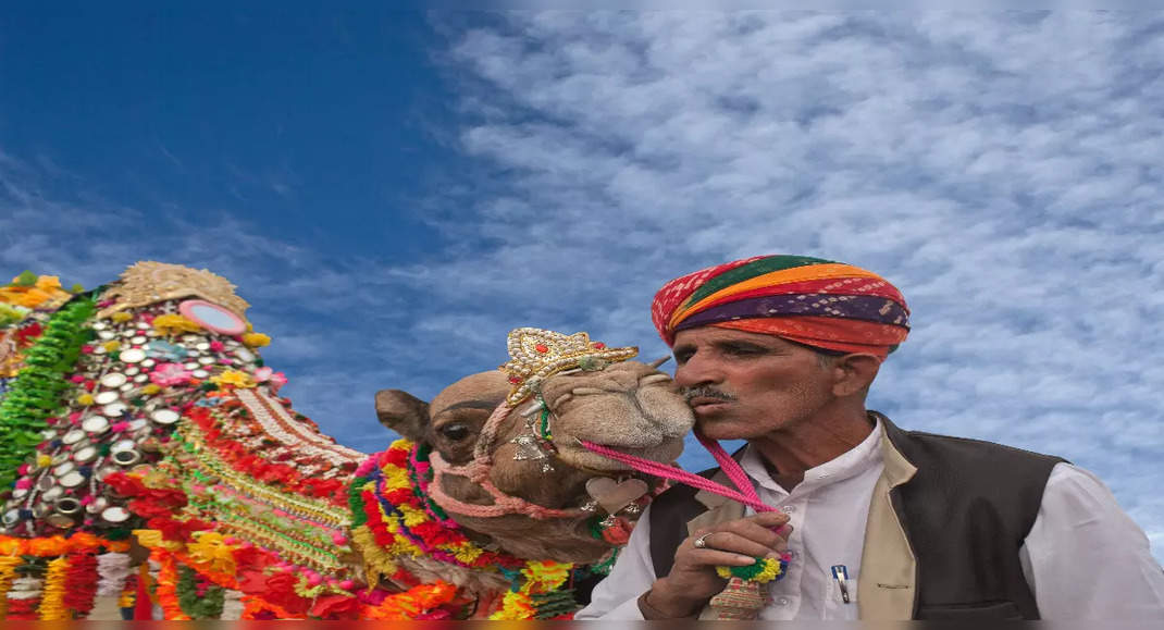 Bikaner to host the annual Bikaner Camel Competition; all the main points right here