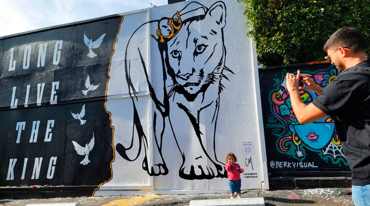 New mural painted in reminiscence of LA’s famed mountain lion