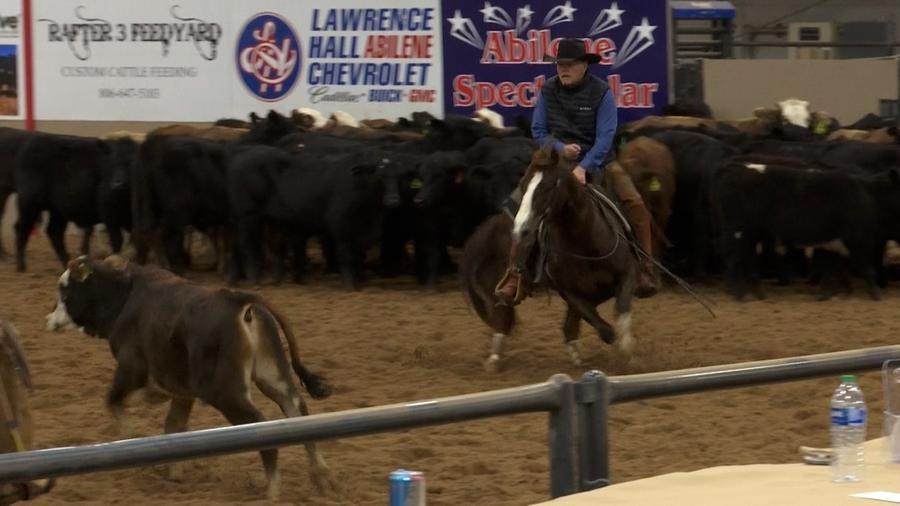 Abilene horse chopping competitors returns for forty first 12 months