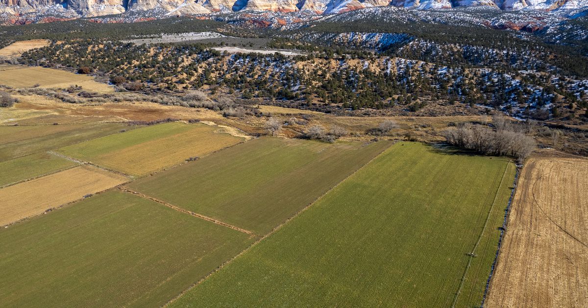 Why it’s time for Utah to purchase out alfalfa farmers and let the water circulate, Editorial Board writes